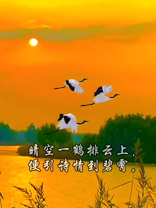 1762216137146280.png d6d44f28-9c4d-4569-99d3-6fcefbc36f14.png