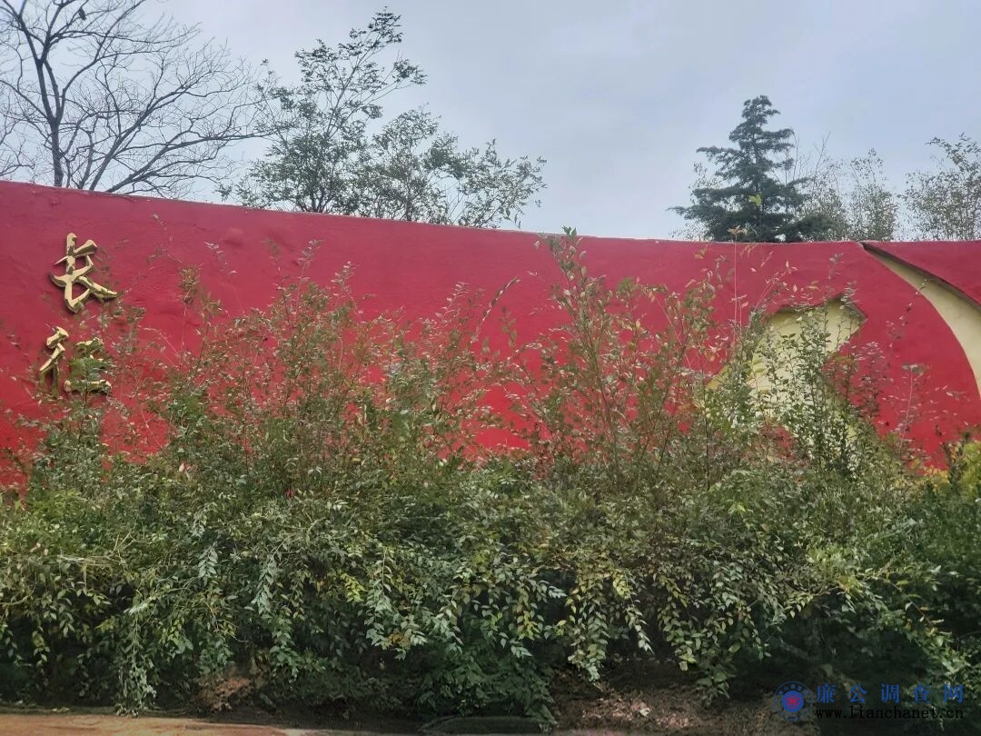 1762910578186523.jpg 1762910578186523.jpg