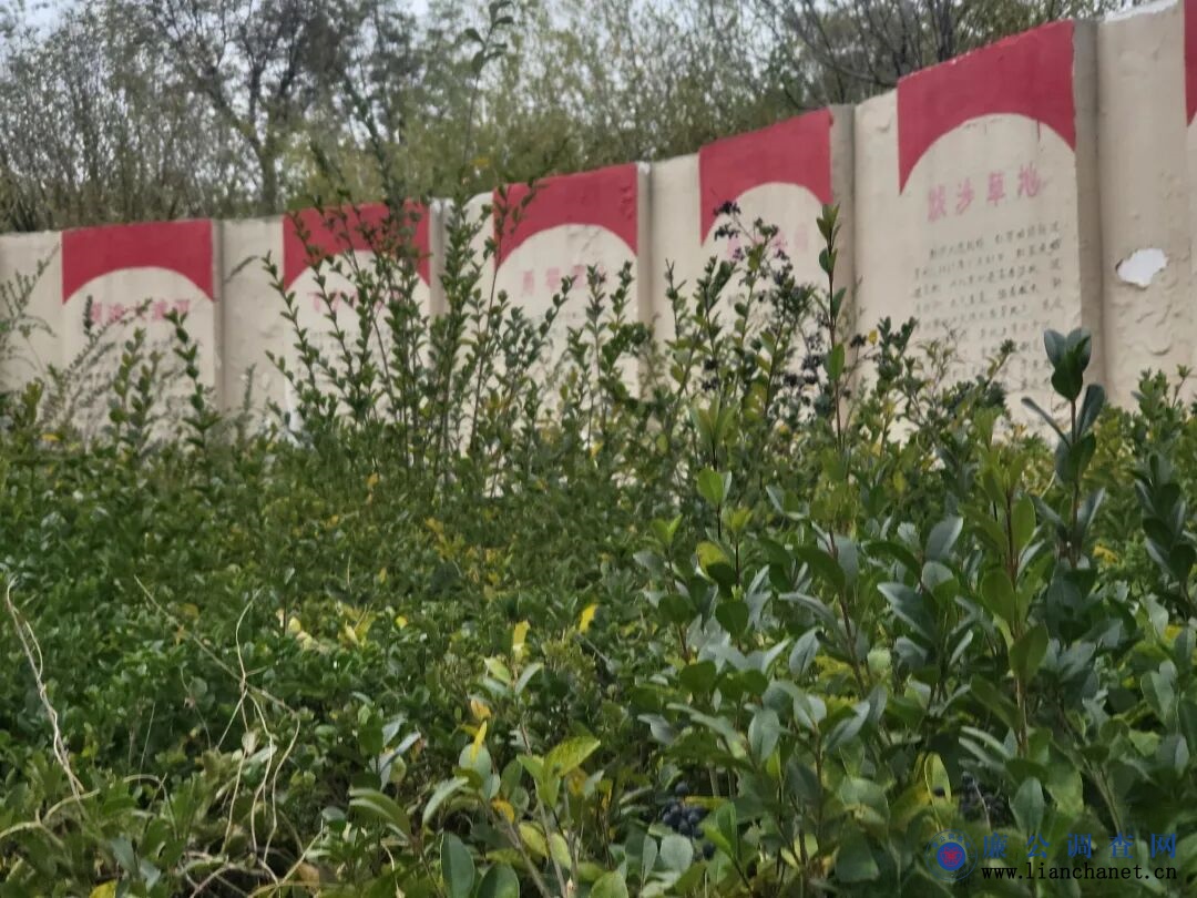 1762910609557523.jpg 1762910609557523.jpg