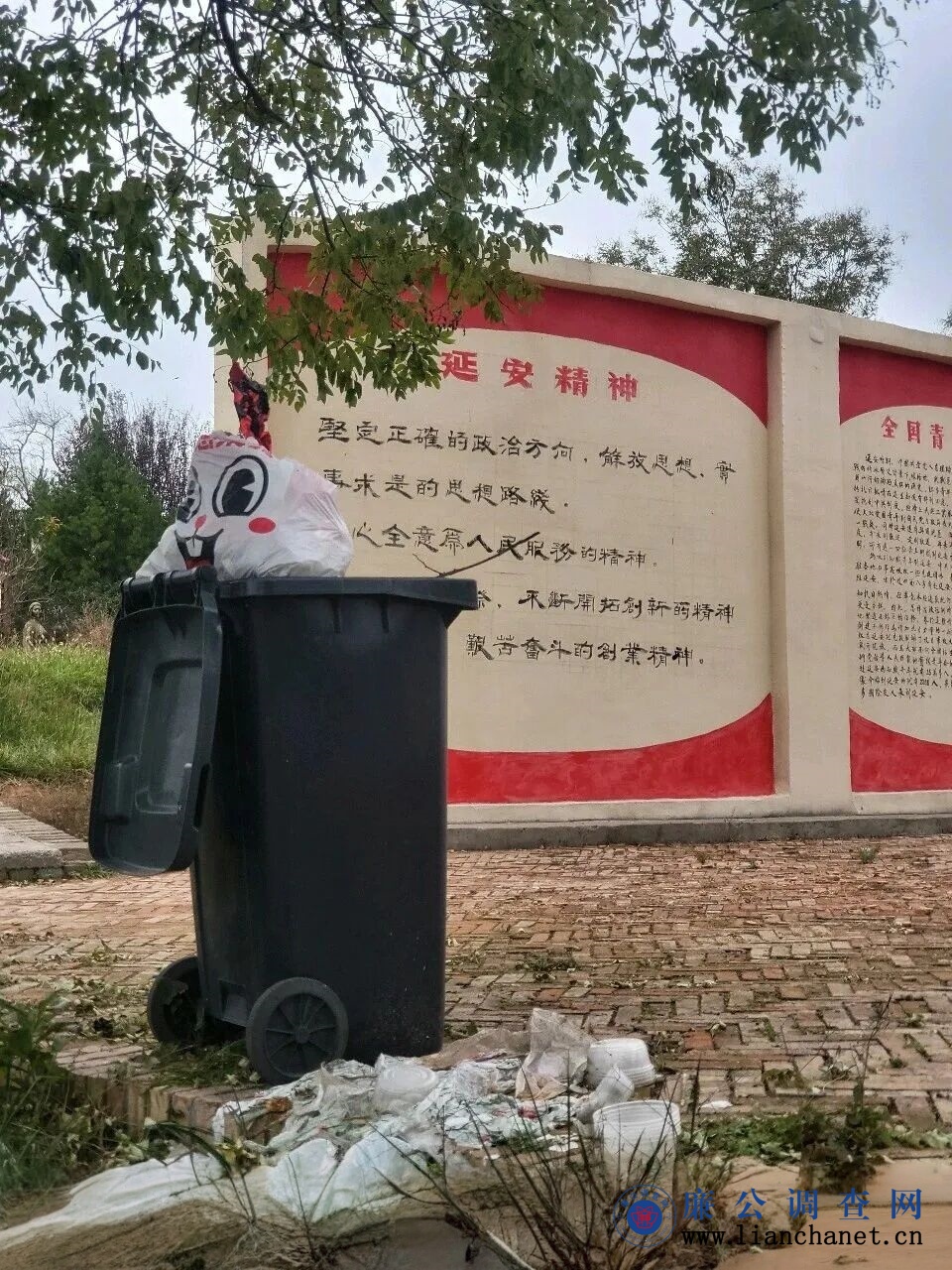 1762910690129494.jpg 1762910690129494.jpg