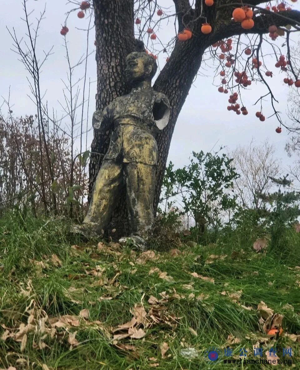 1762910893290655.jpg 1762910893290655.jpg