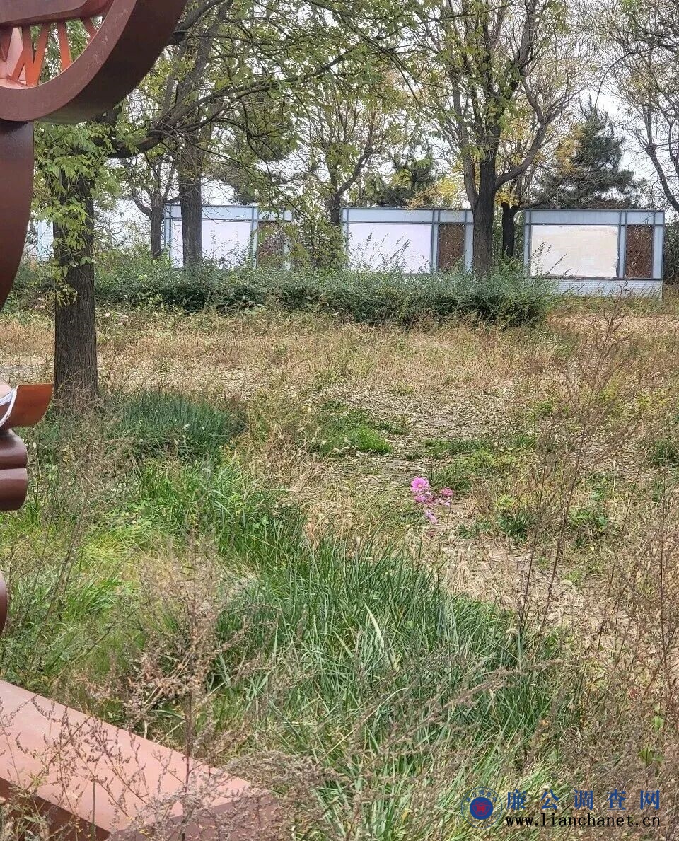 1762910973782926.jpg 1762910973782926.jpg