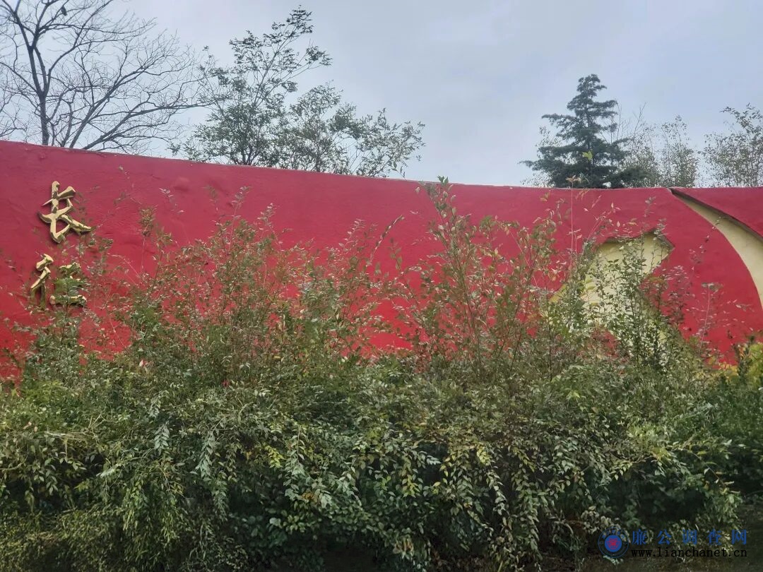 1762911049785478.jpg 1762911049785478.jpg