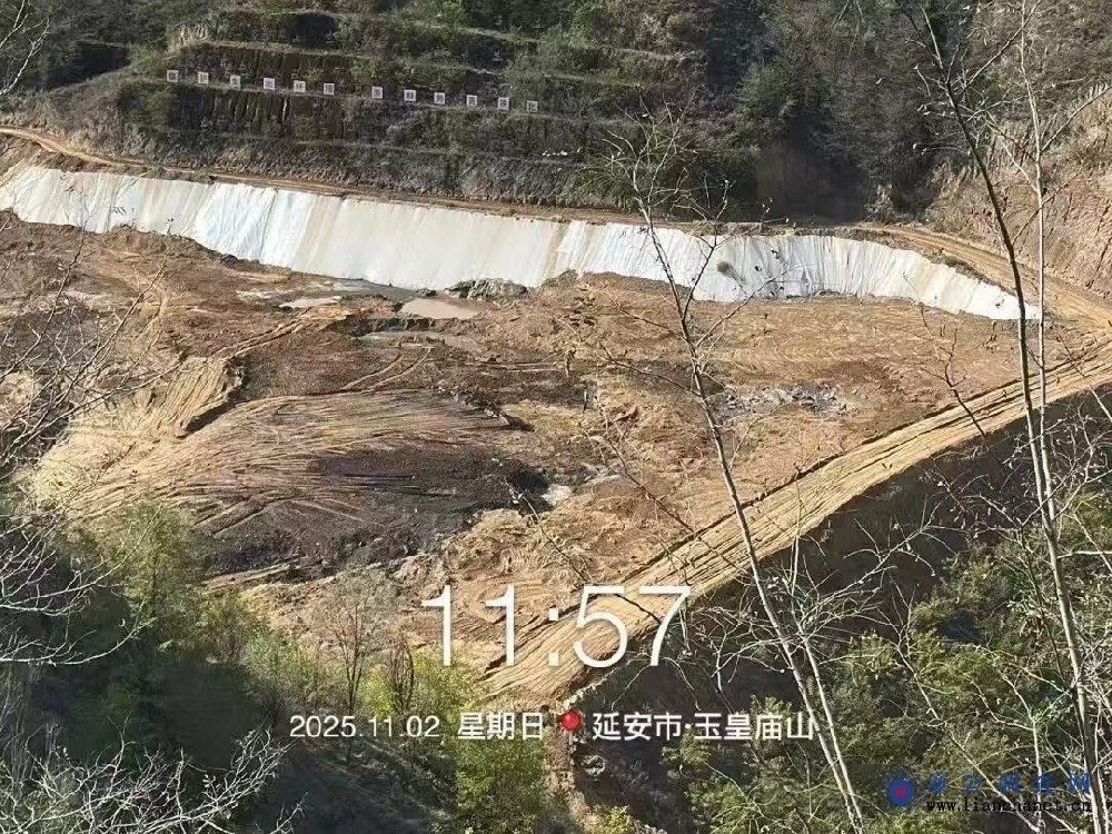 1763197834910745.jpg 1763197834910745.jpg